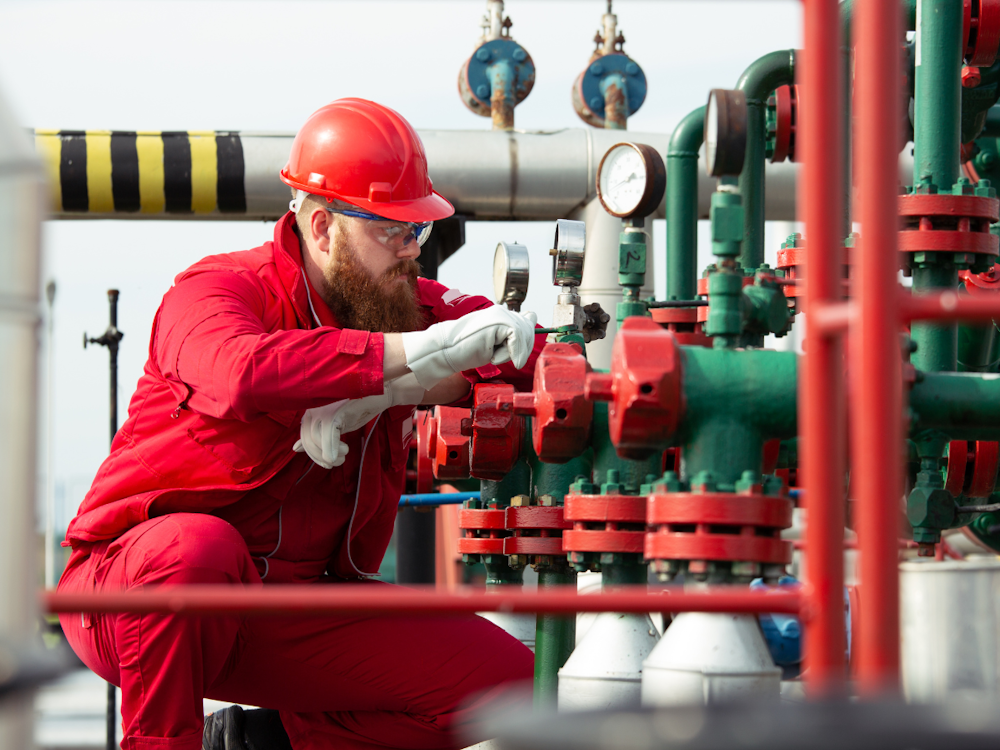 flange inspection